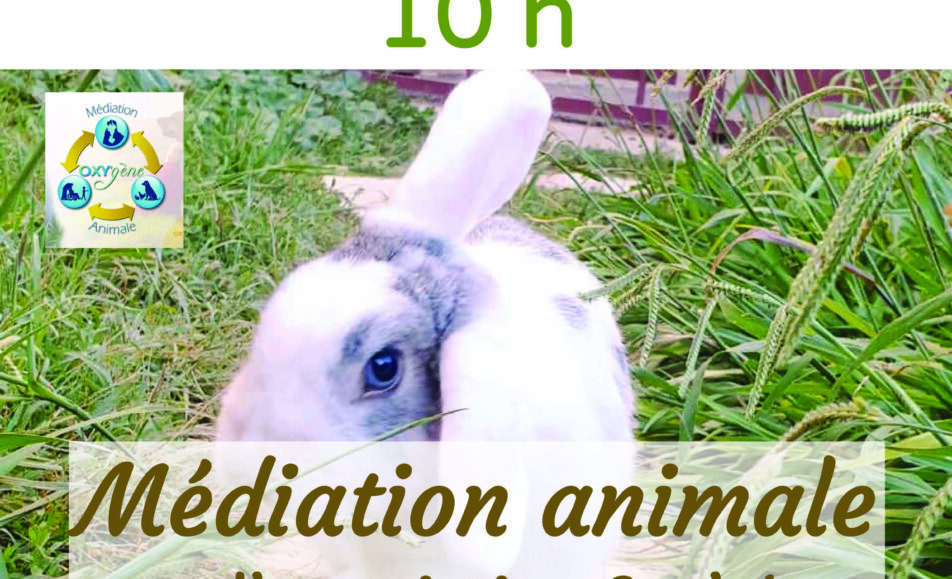 Atelier "Médiation animale"