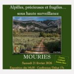 Exposition et conférence : Alpilles