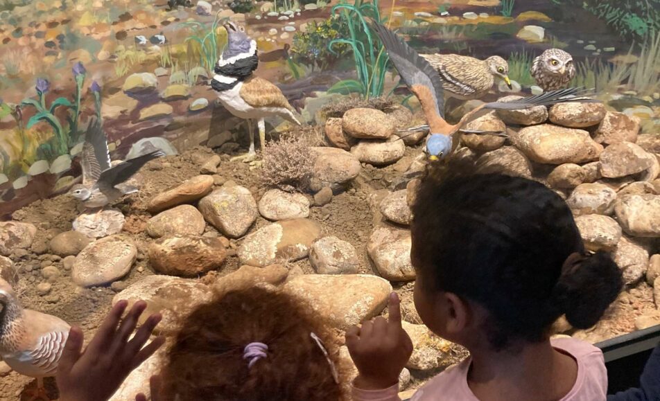 Visite guidée de l’Ecomusée de la Crau