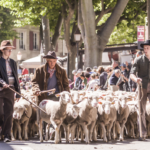 Projection du film La transhumance à Saint-Rémy-de-Provence