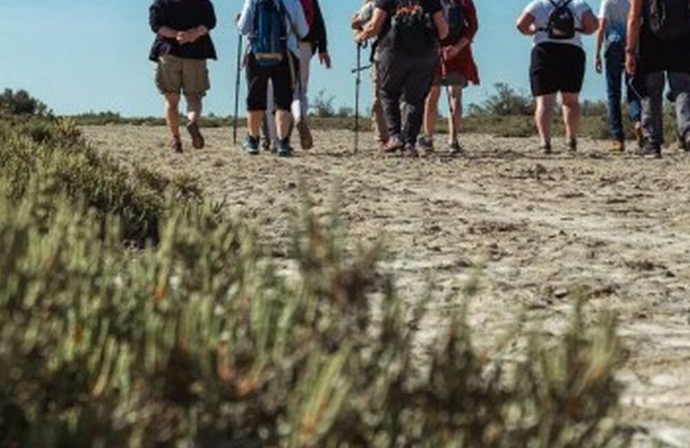 Découverte de la Tour du Valat