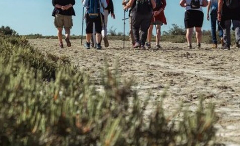 Découverte de la Tour du Valat