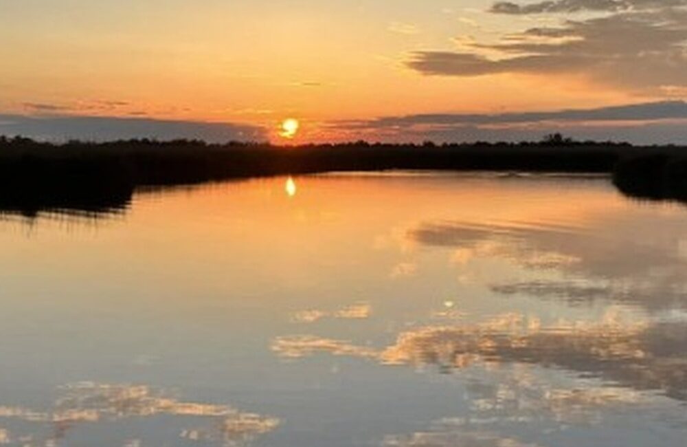 Coucher du soleil dans les marais