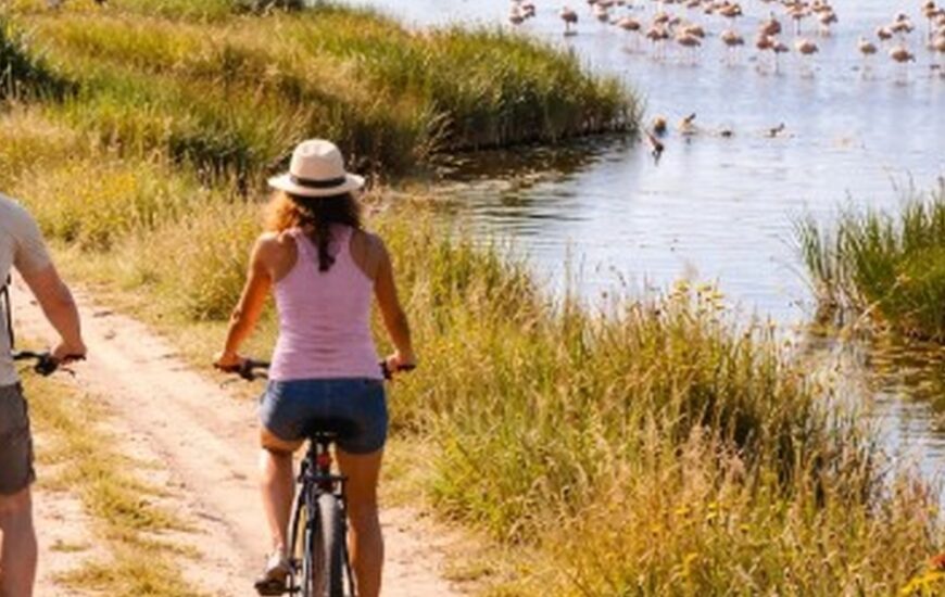 Balade vélo entre agriculture et biodiversité