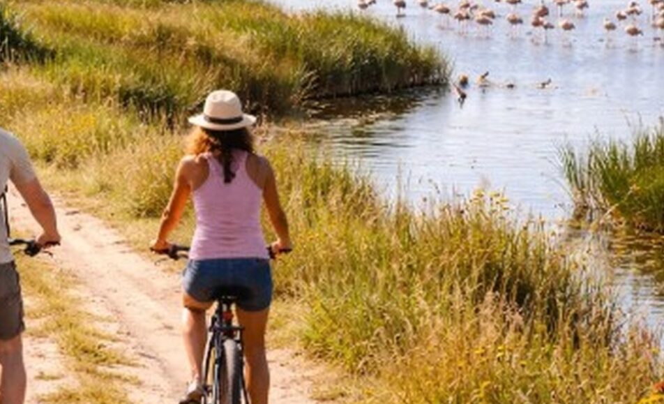 Balade vélo entre agriculture et biodiversité