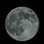 La tête dans les étoiles à la rencontre des animaux célestes