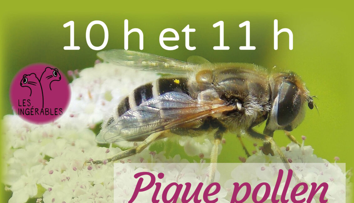 « Escape game pique pollen »