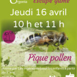 « Escape game pique pollen »