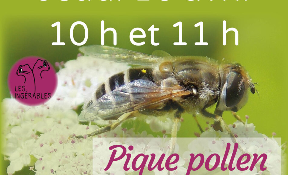 « Escape game pique pollen »