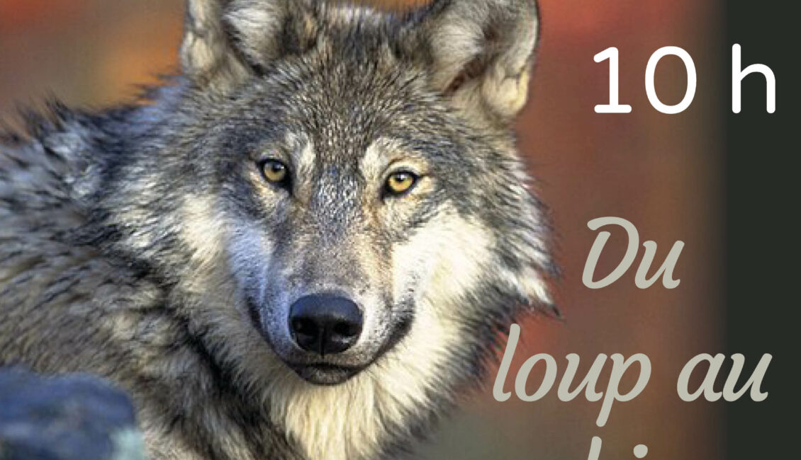Atelier "Du loup au chien"