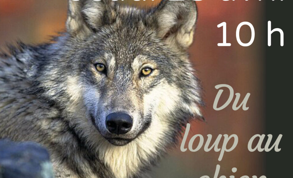 Atelier "Du loup au chien"