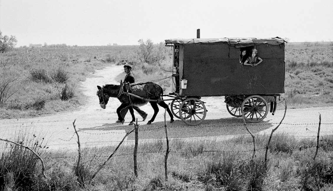 Soirée parrain : Rencontre avec Hans Silvester
