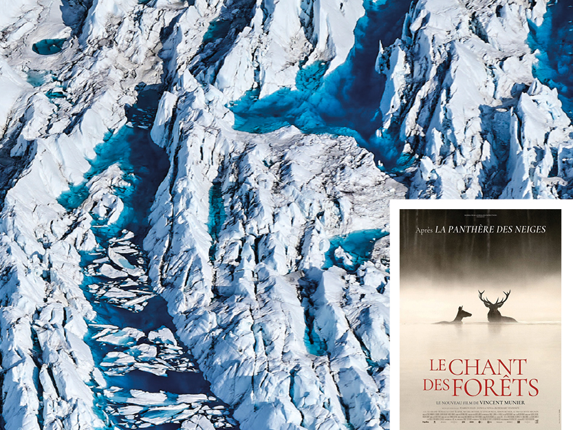 Récits polaires : Explorations d’hier et d’aujourd’hui