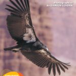 Exposition « Ouest Aride »