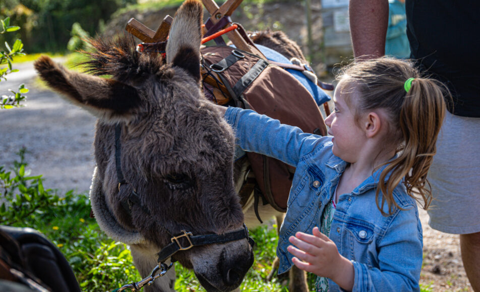 Balade en compagnie  des petits ânes : Autour de Saint Gabriel