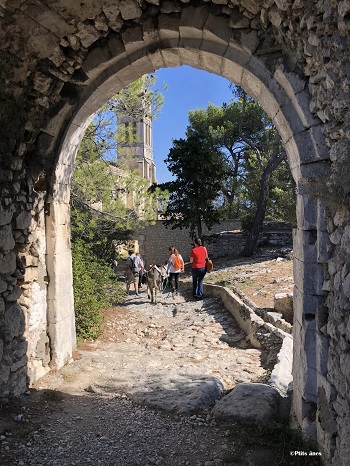 Balade en compagnie des P'tits ânes : Le sentier de la pierre