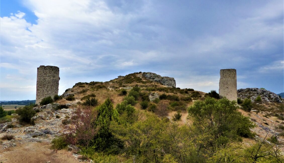 Sortie nature : Les tours de Castillon 'Entre marais et collines"