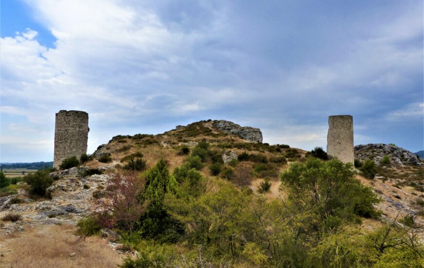 Sortie nature : Les tours de Castillon 'Entre marais et collines"