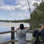 Sortie nature : Visite des marais de Beauchamp
