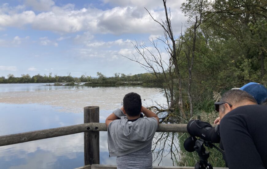 Sortie nature : Visite des marais de Beauchamp