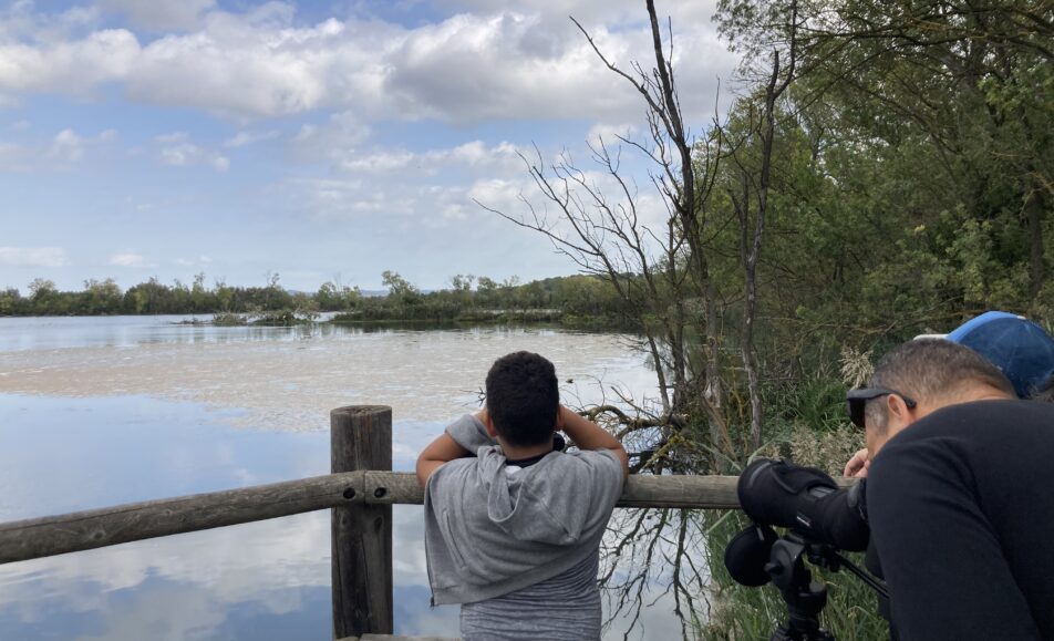 Sortie nature : Visite des marais de Beauchamp