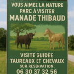 Visite de la Manade Thibaud