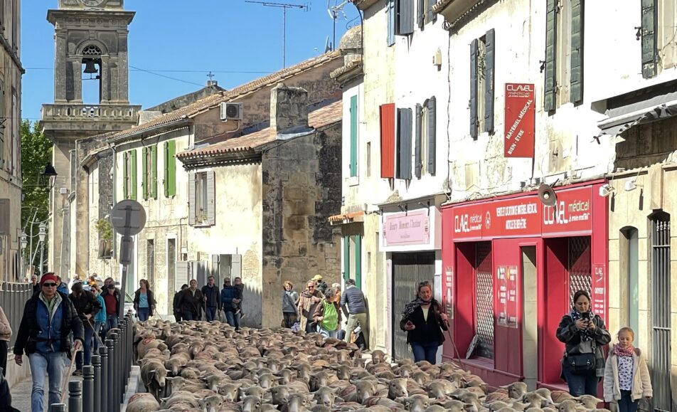 Fête de la transhumance