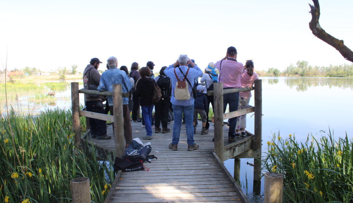 Sortie nature : Visite des marais de Beauchamp