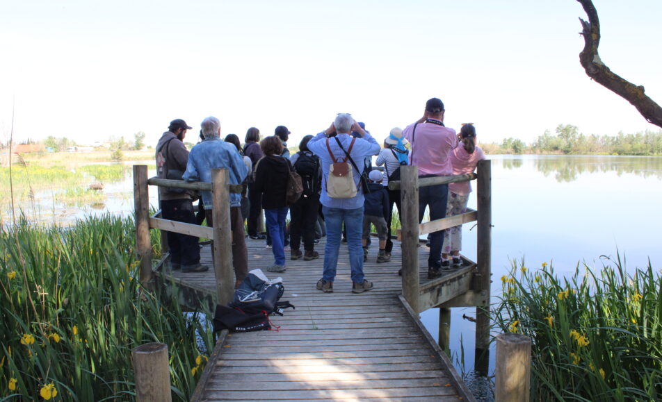 Sortie nature : Visite des marais de Beauchamp