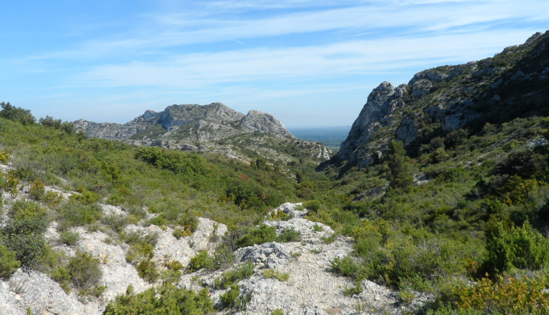 Sortie nature : Le génie de la garrigue
