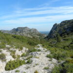 Sortie nature : Le génie de la garrigue