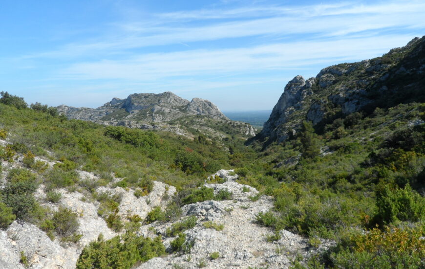 Sortie nature : Le génie de la garrigue