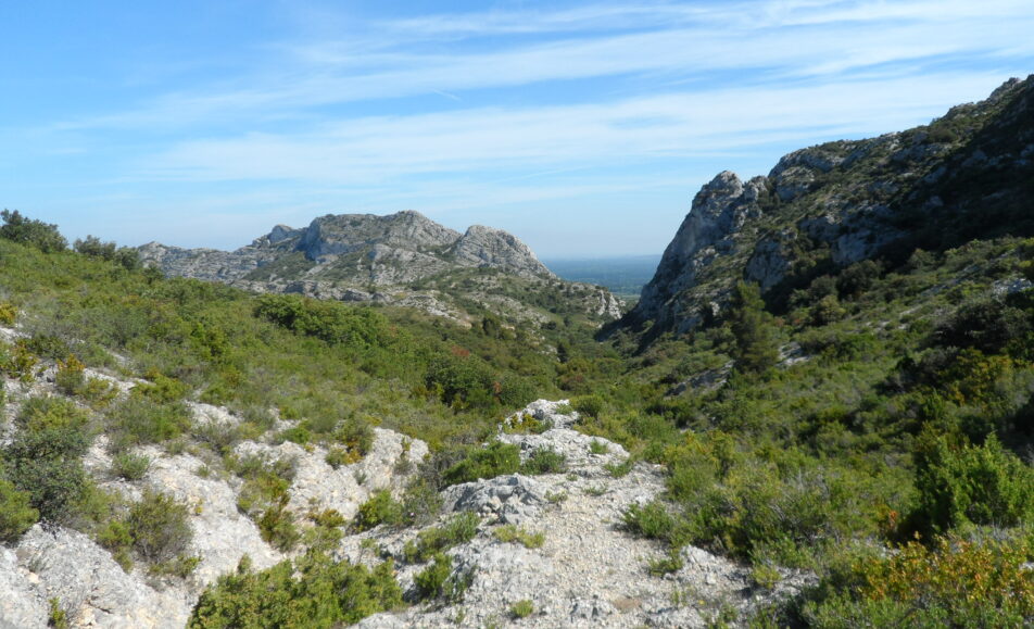 Sortie nature : Le génie de la garrigue