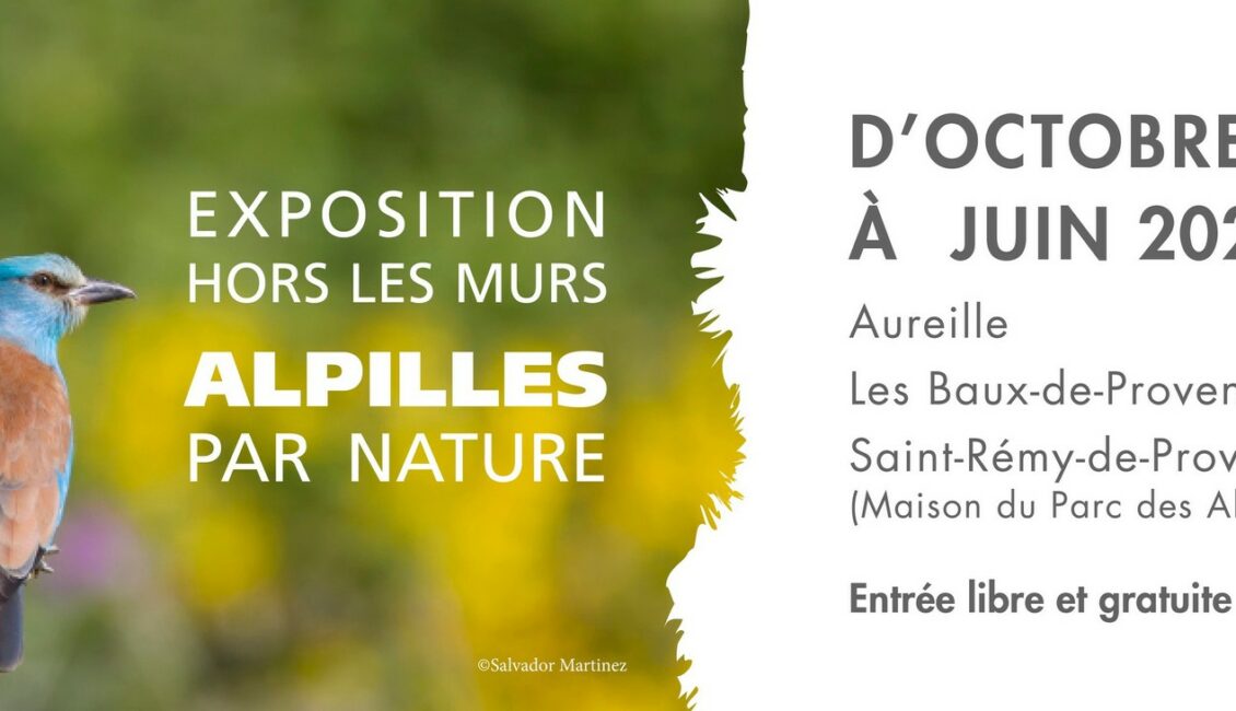 Exposition hors les murs : Les Alpilles par nature