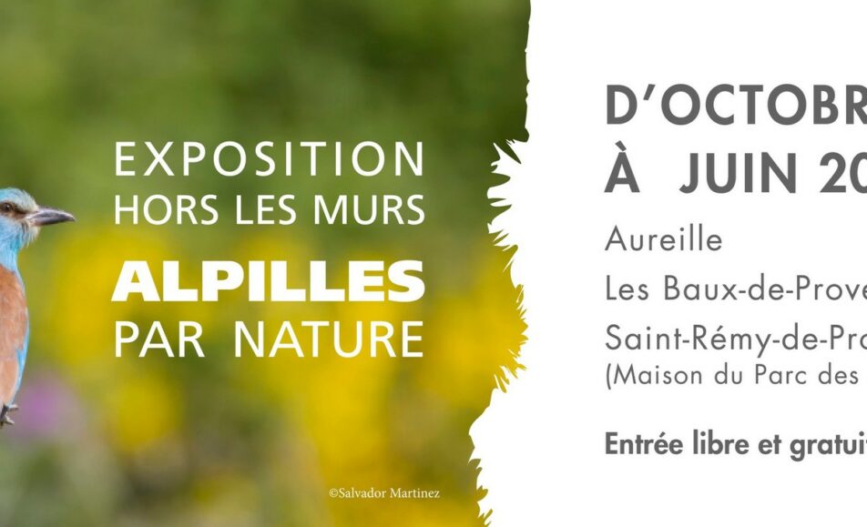 Exposition hors les murs : Les Alpilles par nature
