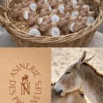 L'Asinerie des Prés Neufs