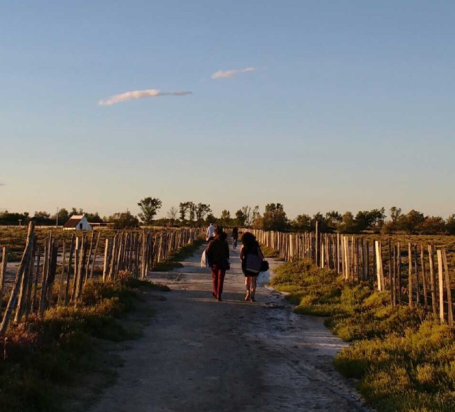 Visite guidée du sentier du Mas du Pont de Rousty