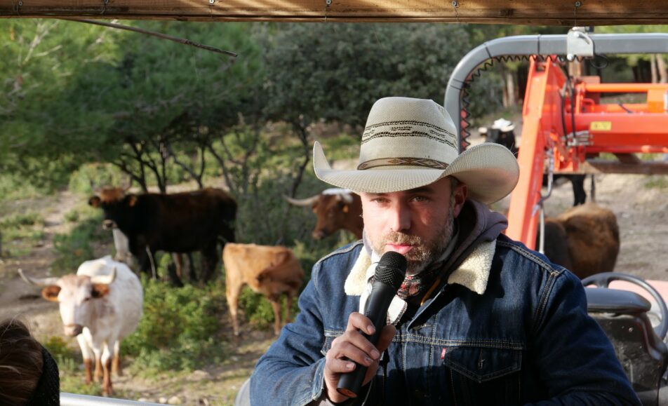 Visite en wagon tracté au Petit Roman