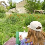 Le OFF du festival du dessin à La Verrerie
