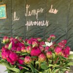 Visite guidée : Un champ de pivoines
