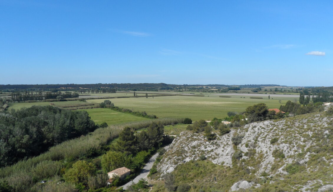 Sortie nature :  Les tours de Castillon "Entre marais et collines"