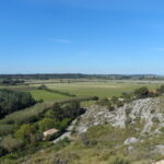 Sortie nature :  Les tours de Castillon "Entre marais et collines"