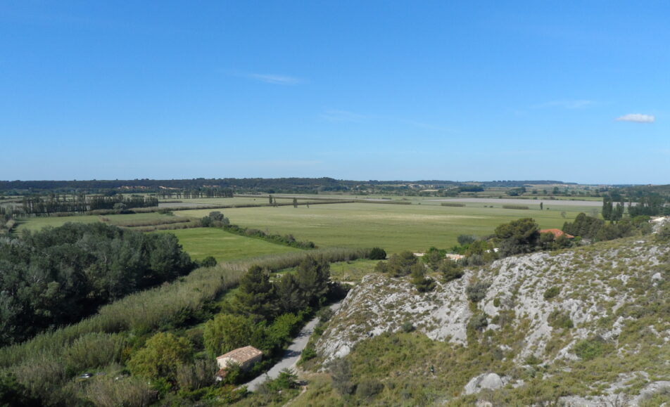 Sortie nature :  Les tours de Castillon "Entre marais et collines"