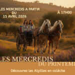 Les mercredis du printemps avec Attelage Évasion