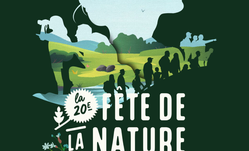 Jeux nature : Escape game