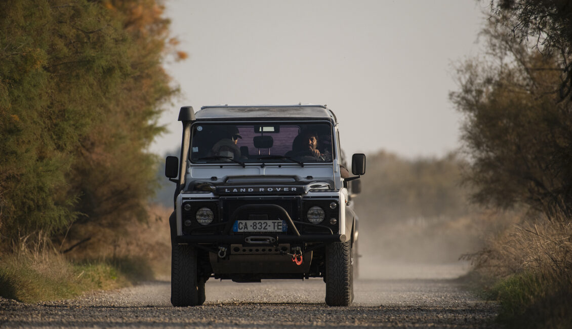 Découverte de la Camargue en 4X4 avec Camargue Alpilles  Safari