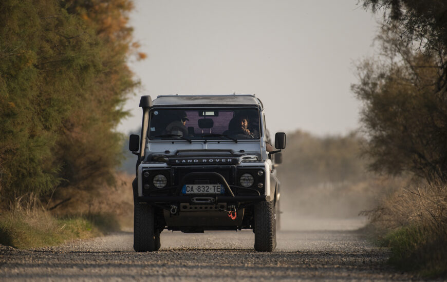 Découverte de la Camargue en 4X4 avec Camargue Alpilles  Safari