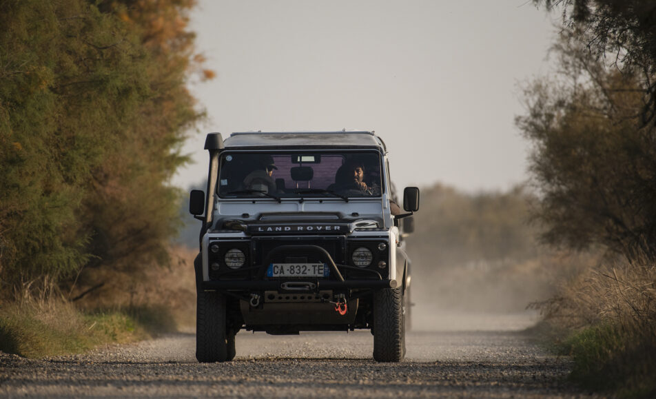 Découverte de la Camargue en 4X4 avec Camargue Alpilles  Safari
