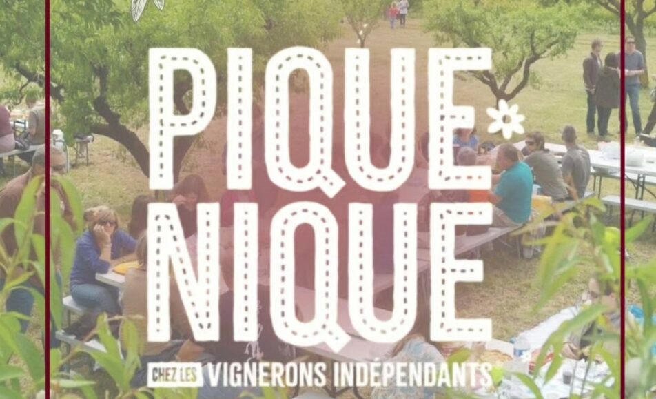 Pique-nique chez le vigneron indépendant : Mas de Gourgonnier