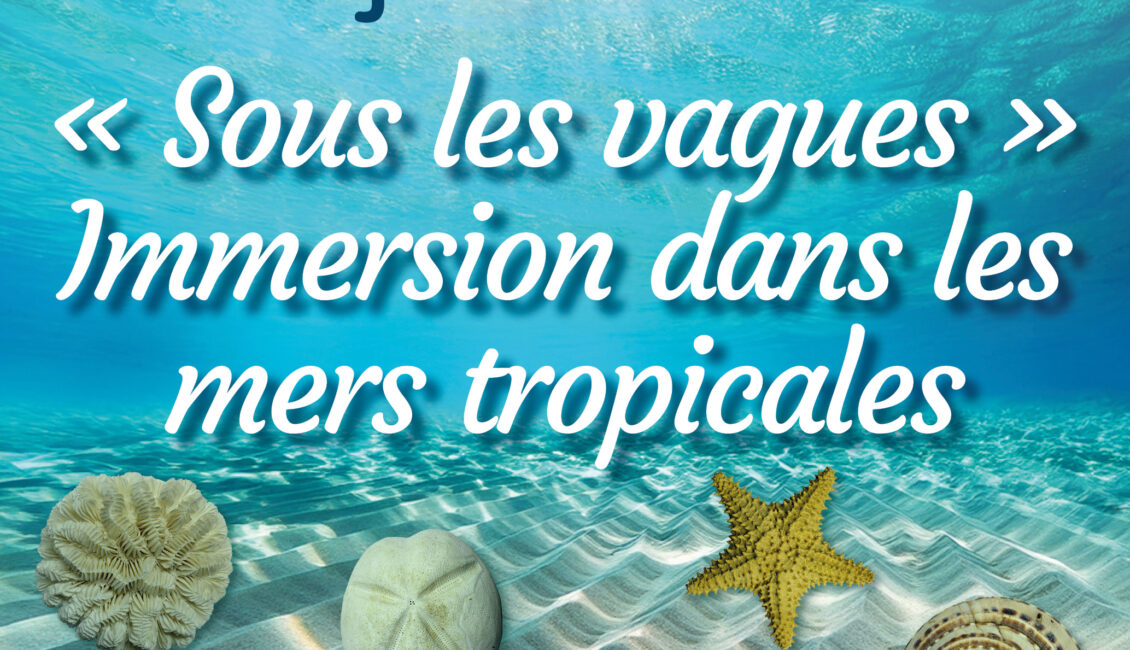 Exposition « Sous les vagues » - Immersion dans les mers tropicales